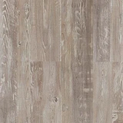 ОЛИВА МОЛОЧНАЯ