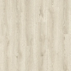 ДУБ БОЛОТНЫЙ БЕЛЫЙ