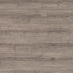 ДУБ ШЕРМАН СЕРЫЙ