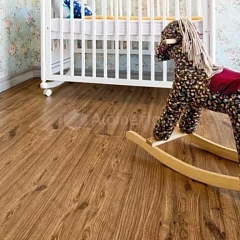 ДУБ КЛАССИЧЕСКИЙ