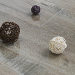 ДУБ ЖАККАРД