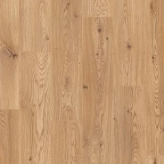 ДУБ БРЕНДОН