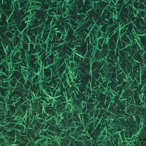 ТРАВА ПРОБКОВОЕ ПОКРЫТИЕ LICO PRINTCORK AMBITION