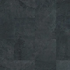 СЛАНЕЦ ЧЁРНЫЙ