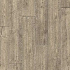 ДУБ ДЫМЧАТЫЙ