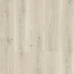 ДУБ НЭШВИЛЛ ВЫБЕЛЕННЫЙ