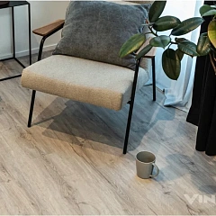 ДУБ НЕАПОЛЬ