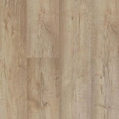 ДУБ ЯНТАРНЫЙ