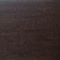 BN 290 101 BN 290 101