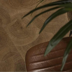 ДУБ НАТУРАЛЬНЫЙ