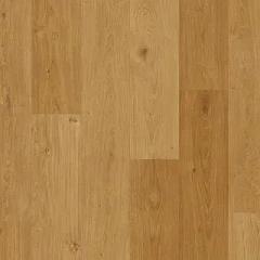 ДУБ БЕРЕГОВОЙ МЕДОВОЙ