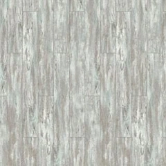 ДУБ ФОРТОРЕ