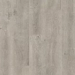 ДУБ СТАРИННЫЙ СЕРЫЙ