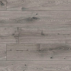 ДУБ ФРАЙДИС