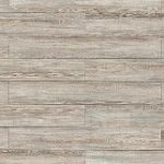 СОСНА МОДРО СЕРАЯ