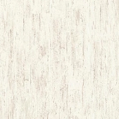 СОСНА БЕЛАЯ ЗАТЁРТАЯ