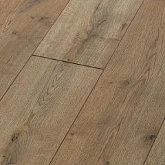 ДУБ ВЕРМОНТ