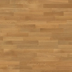 ДУБ ПОТСДАМ 1800