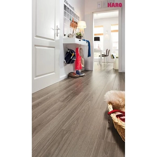 ДУБ АЛЬТА СВЕТЛО-КРЕМОВЫЙ ЛАМИНАТ  HARO  DAILY EDITION ламинат для пола