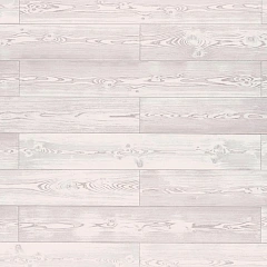 СОСНА КАРСТЕНС