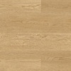 WP 9581 WP 9581