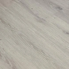 ДУБ ДАРВИНСКИЙ