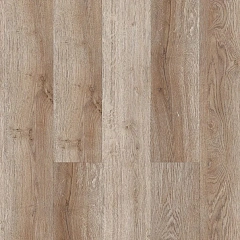 ДУБ СВЕТЛЫЙ