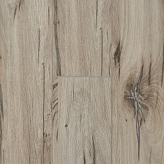 ДУБ СЕВЕРНАЯ ЗВЕЗДА