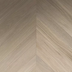 ДУБ БРИСБЕН