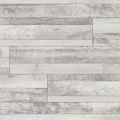 СОСНА ДЕРЕВЕНСКАЯ МНОГОПОЛОСНАЯ