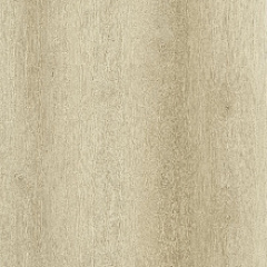 ДУБ МАРЦИПАН