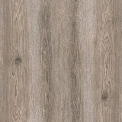 ДУБ КАТАЛОНСКИЙ