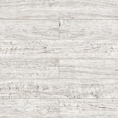 ДУБ НОЙБУРГ