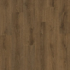 ДУБ ХАРАКТЕРНЫЙ ТЕМНЫЙ