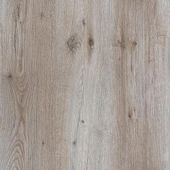 ДУБ АТЛАС ГРЕЙ