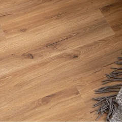 ДУБ САН-РЕМО