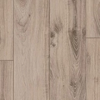 ДУБ ТРАДИЦИЯ СЕРО-БЕЖЕВЫЙ ЛАМИНАТ  PARADOR  CLASSIC 1050 ламинат для пола