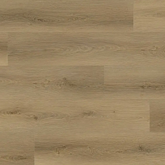 ДУБ АМЕРИКАНСКИЙ