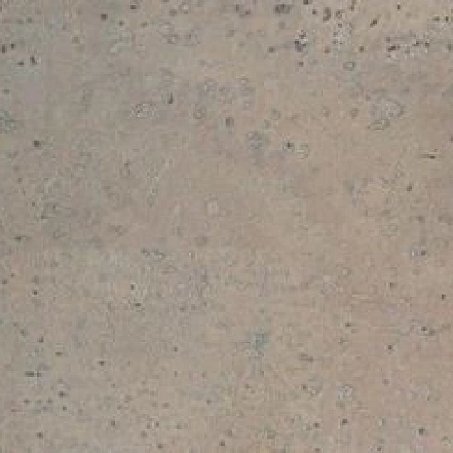 RHEIN ПРОБКОВОЕ ПОКРЫТИЕ ART CORK DESIGN ПРОБКОВЫЙ ПОЛ КЛЕЕВОЙ