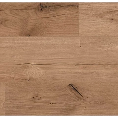 ДУБ СТАНДАРТ