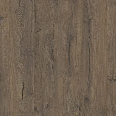 ДУБ КОРИЧНЕВЫЙ