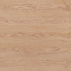 ДУБ КОНФИДЕНС