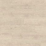 ДУБ НЬЮБЕРИ БЕЛЫЙ