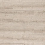 ДУБ ШЕРМАН СВЕТЛЫЙ