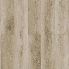 ДУБ ГЛЕНВЕЙ