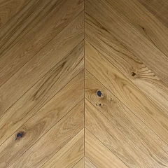 ДУБ РАВЕННА