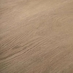 ДУБ ЗОЛОТИСТЫЙ