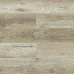 ДУБ БОТАФОГО