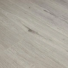 ДУБ АППОЛОН