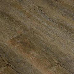 ДУБ БЕЛОГОРЬЕ